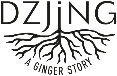 DZJing